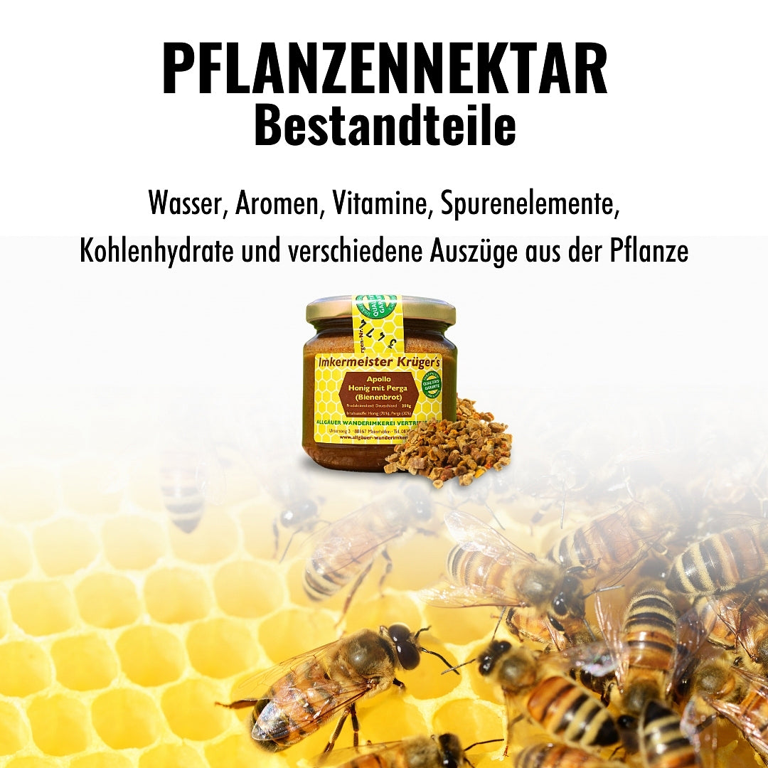 APOLLO Honig mit Perga (Bienenbrot) 250g