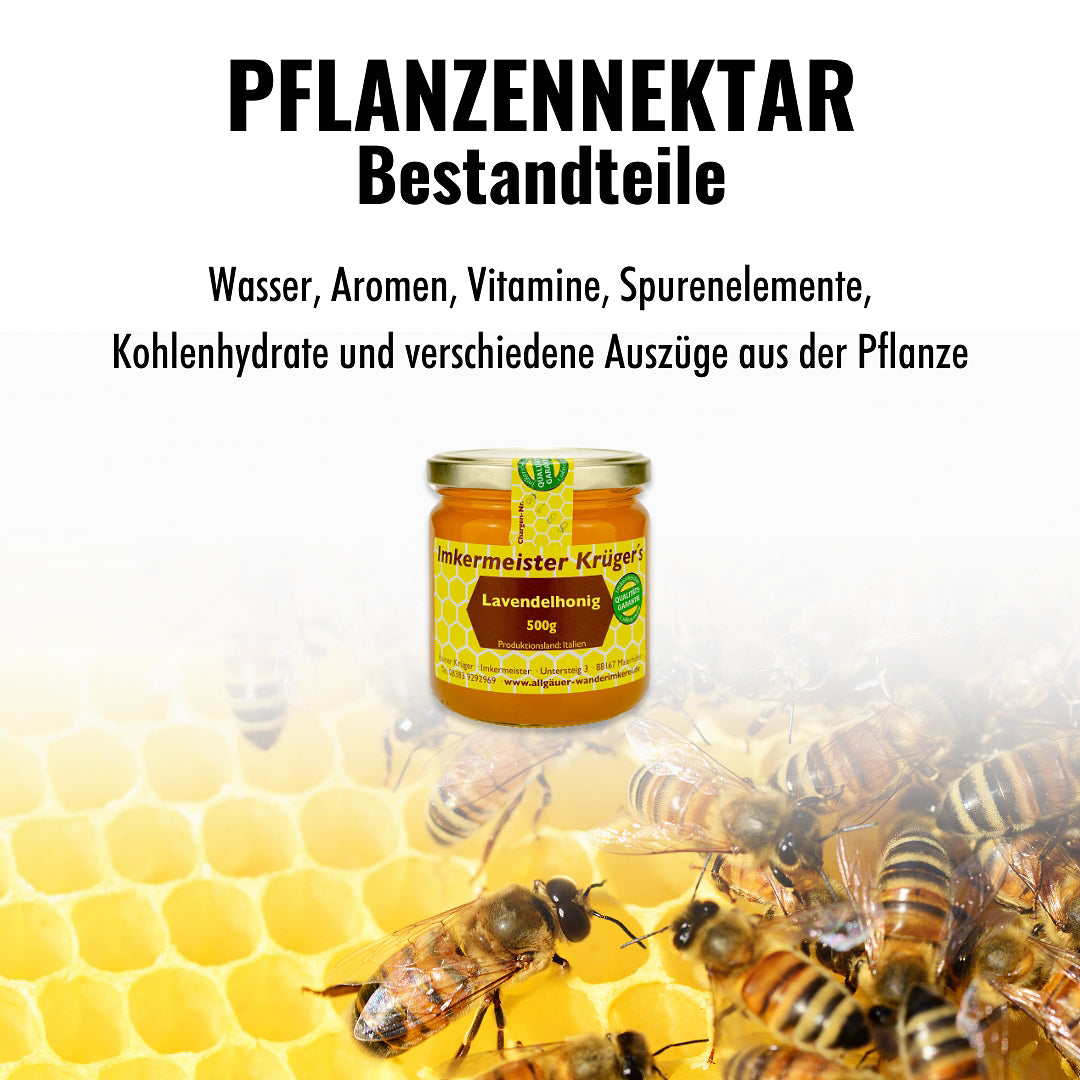 Lavendelhonig (500g) aus Italien von der Allgäuer Wanderimkerei