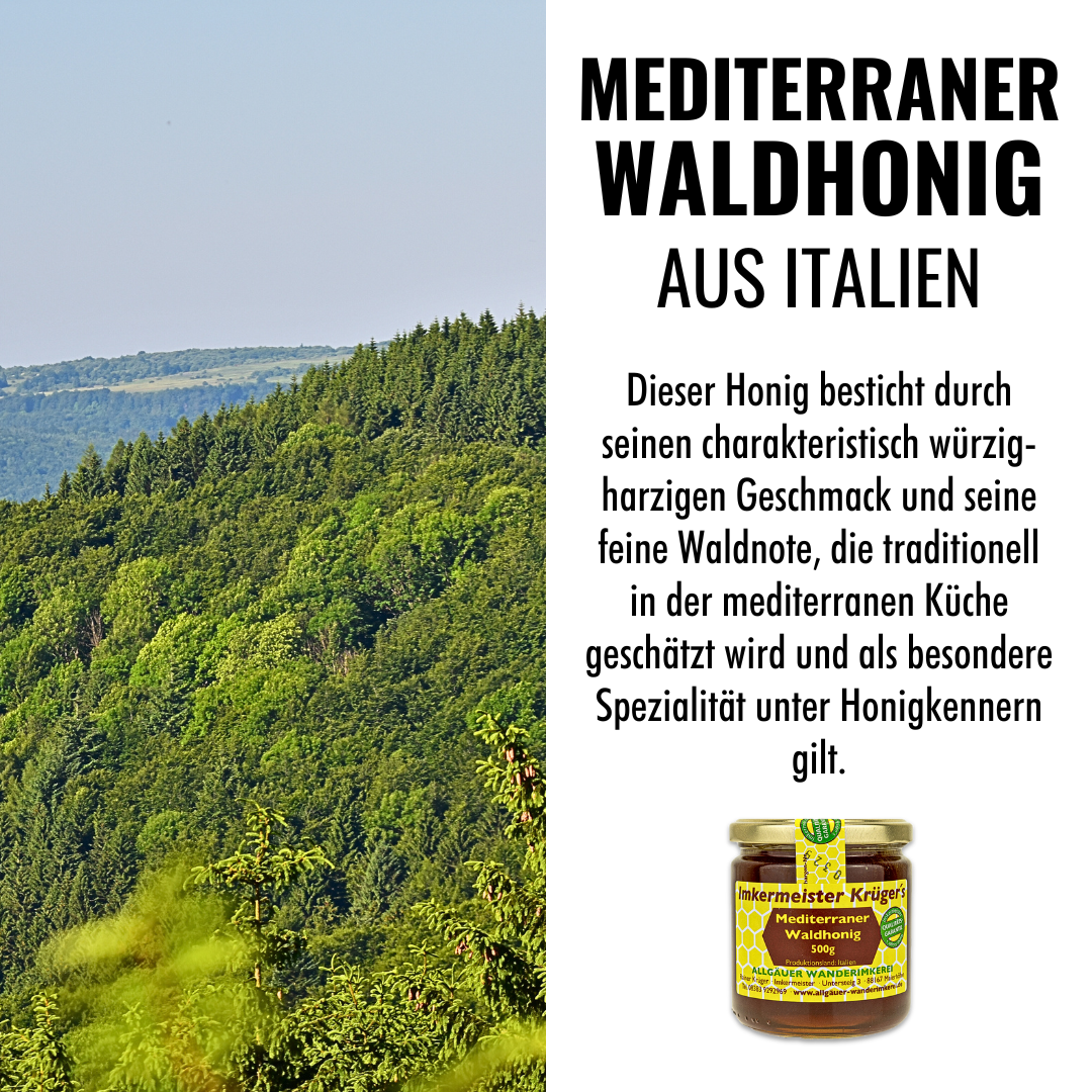 Mediterraner Waldhonig 500g aus Italien von der Allgäuer Wanderimkerei, würzig-harziger Geschmack