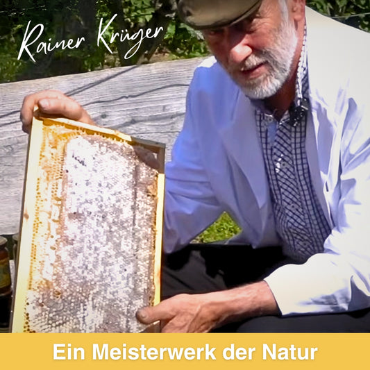 Deutschen Bienenwabe im Rähmchen, 1,7 kg, von der Allgäuer Wanderimkerei, limitierte Auflage