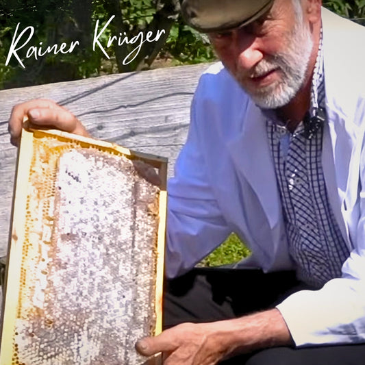 Deutschen Bienenwabe im Rähmchen, 1,7 kg, von der Allgäuer Wanderimkerei, limitierte Auflage
