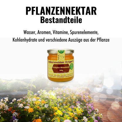Frühjahrs-Blütenhonig 500g