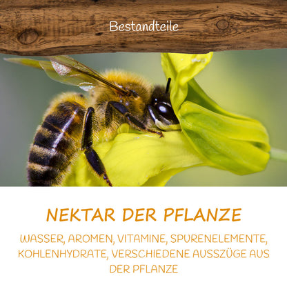 Deutscher Silphien Honig cremig 500g