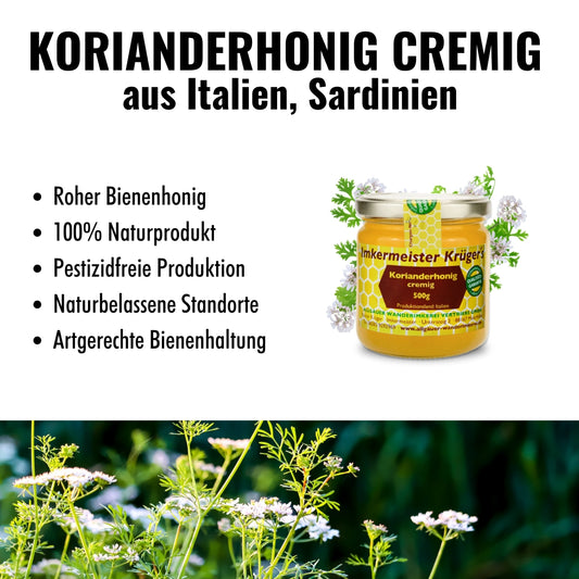 Korianderhonig cremig aus Sardinien von der Allgäuer Wanderimkerei, neu und selten, 100% Imker Naturprodukt