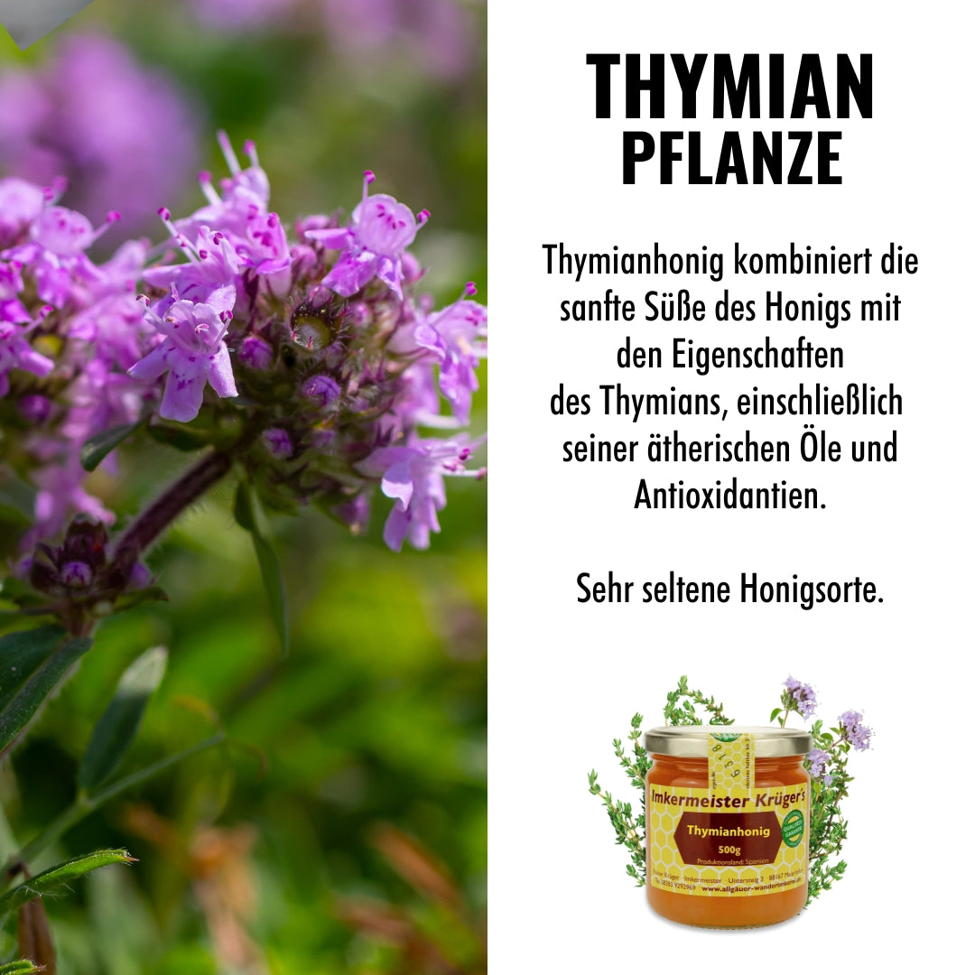 Seltener Thymianhonig im 500g-Glas von der Allgäuer Wanderimkerei, Eigenschaften