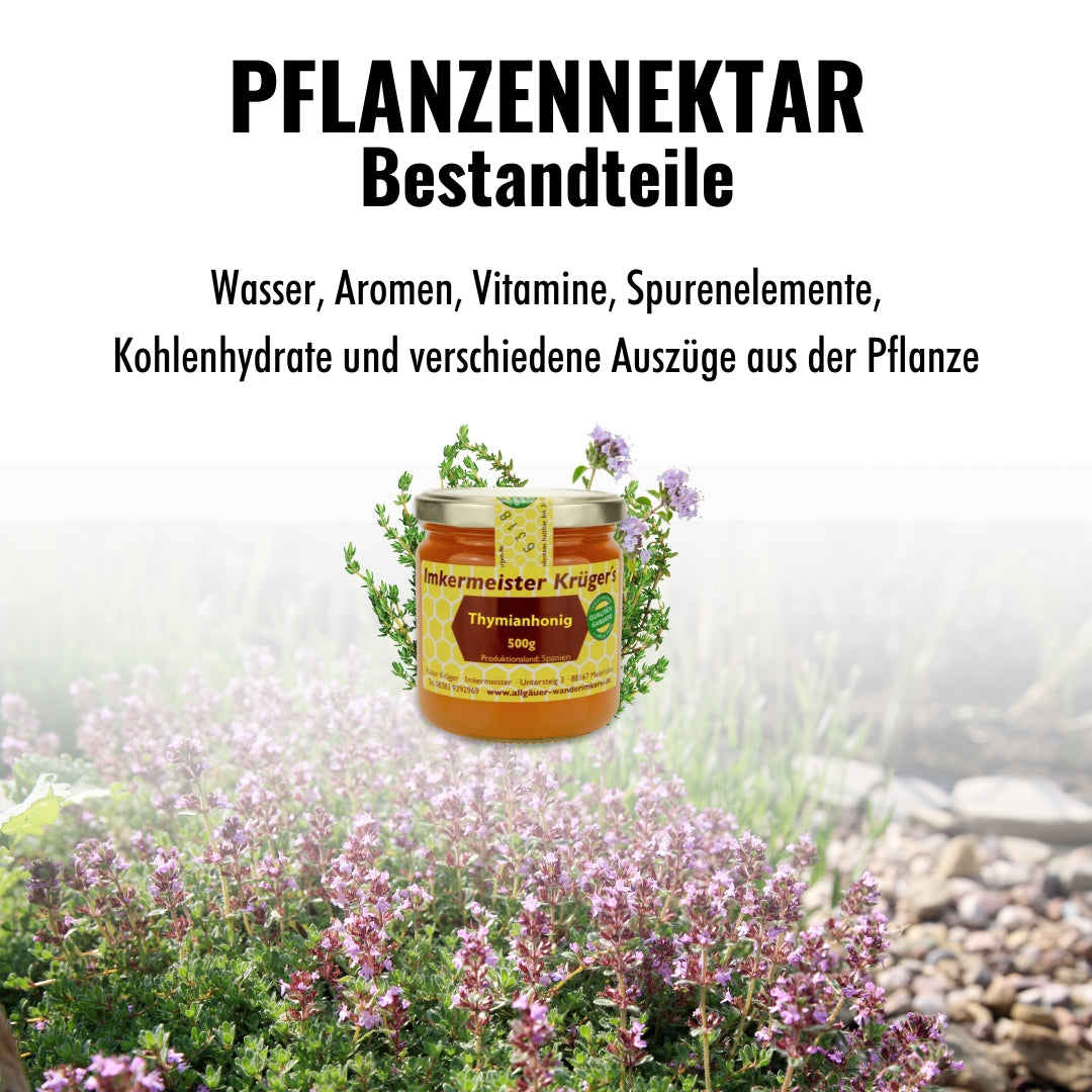 Seltener Thymianhonig im 500g-Glas von der Allgäuer Wanderimkerei, roher Honig aus Spanien