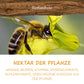 Honig mit Zimt 250g