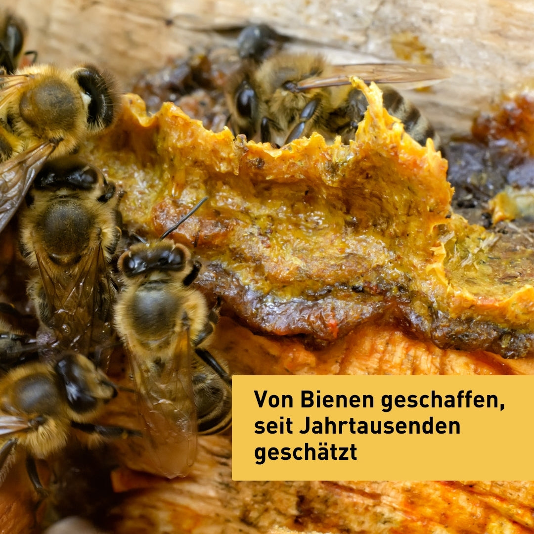 Propolis im Honig 250g aus Deutschland von der Allgäuer Wanderimkerei