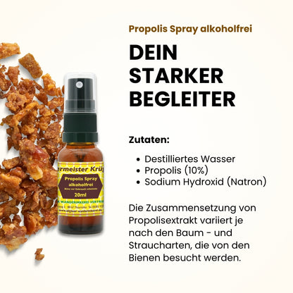 Propolis Spray alkoholfrei 20ml von der Allgäuer Wanderimkerei