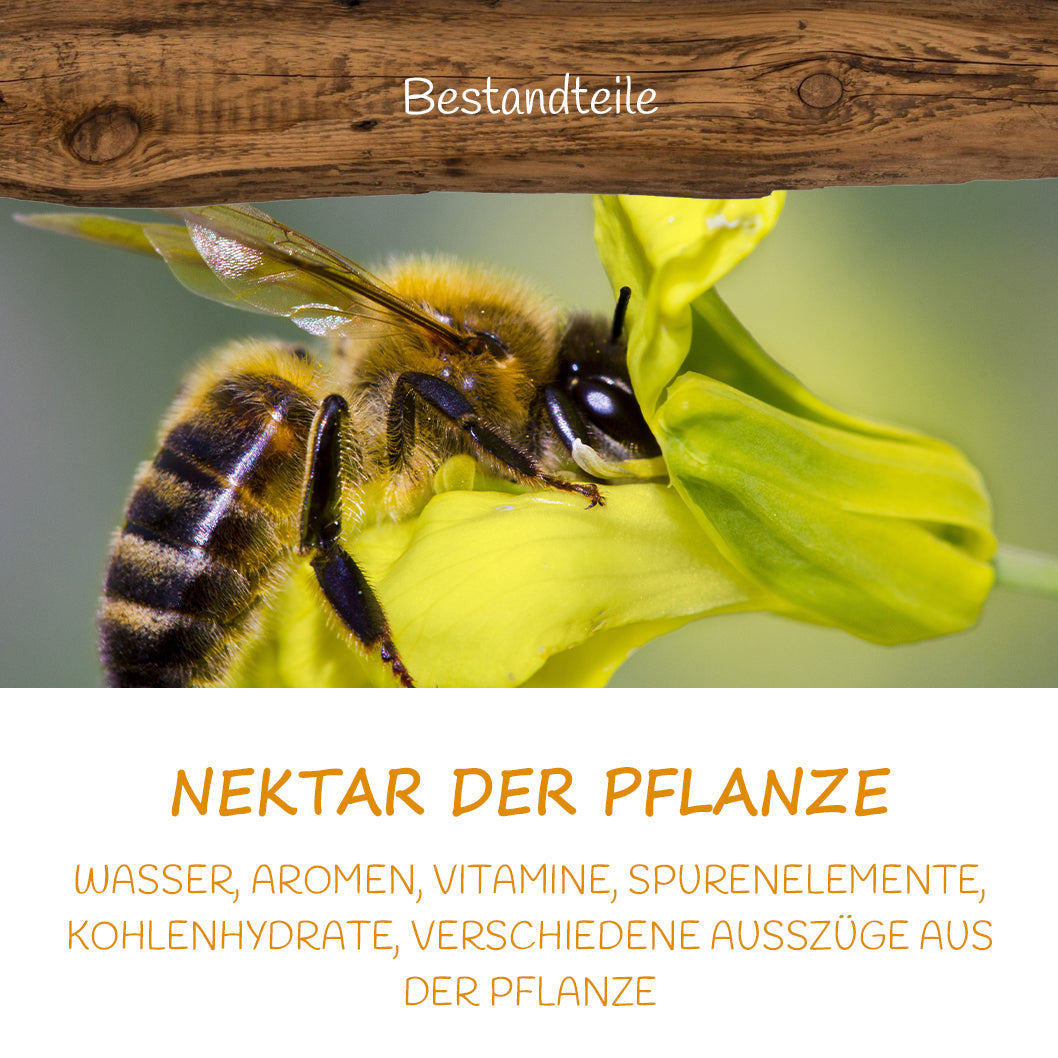 Distelhonig 500g