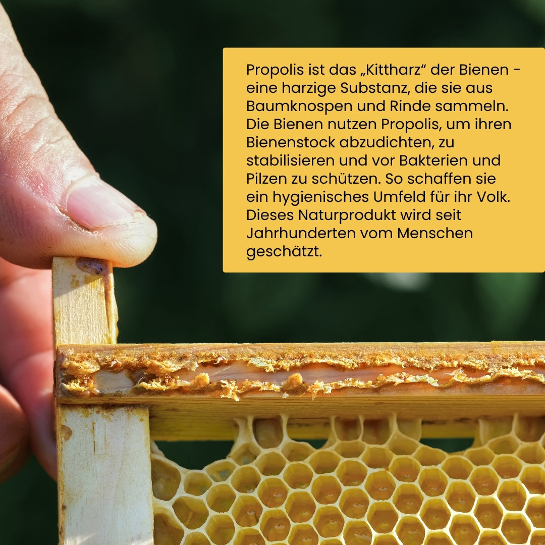 Propolis Tinktur 30% von der Allgäuer Wanderimkerei