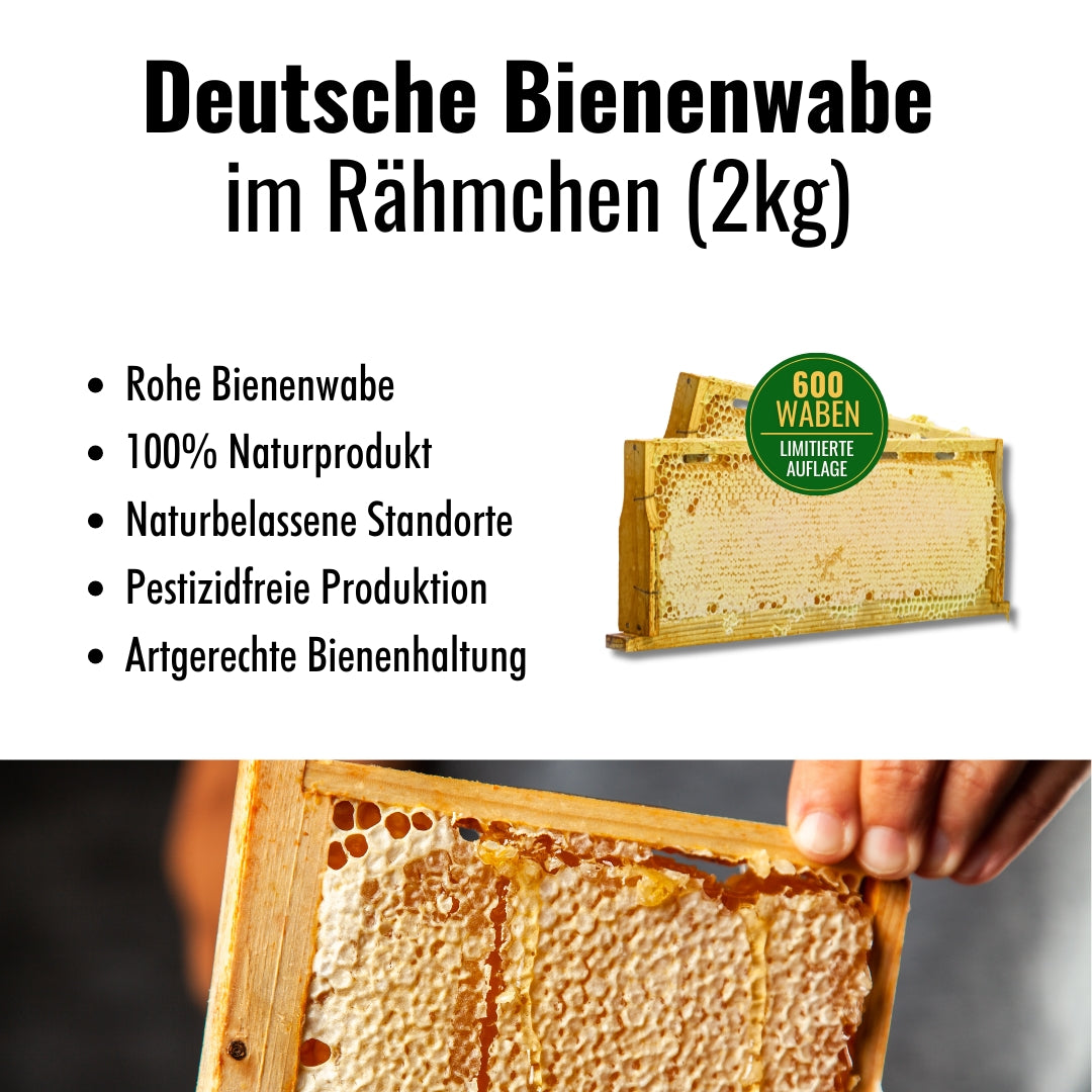 Deutsche Bienenwabe im Rähmchen, 2 kg, von der Allgäuer Wanderimkerei, limitierte Auflage, Rainer Krüger, Qualitätsgarantie