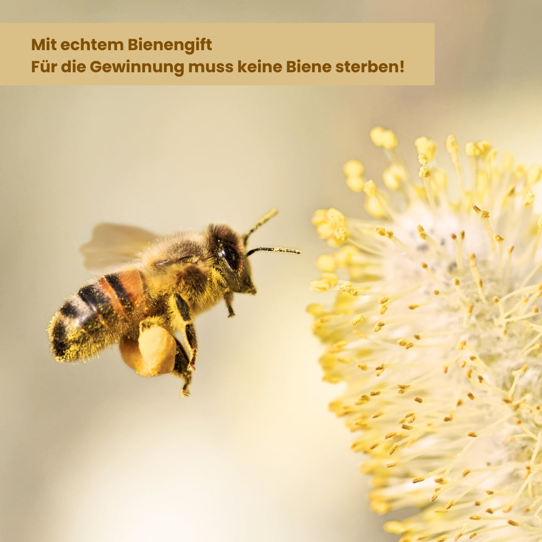 BEE-BOOSTER® 3-fach Augen-Lifting 10ml für sichtbar strahlende Augen von der Allgäuer Wanderimkerei