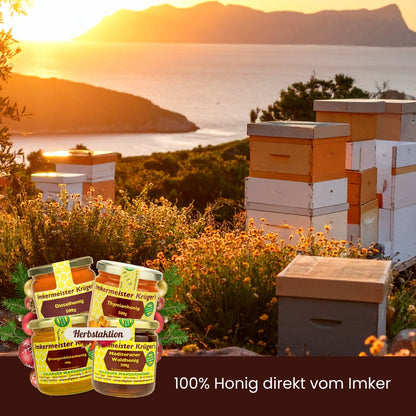 Bestseller Bundle Italien und Spanien mit Distelhonig, Orangenblütenhonig, mediterraner Waldhonig und Thymianhonig, nur zur Herbstaktion von der Allgäuer Wanderimekrei