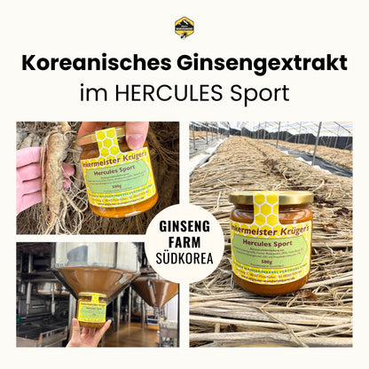 Bienenproduktmischung HERCULES Sport 500g von der Allgäuer Wanderimkerei, mit koreanischem Ginsengextrakt