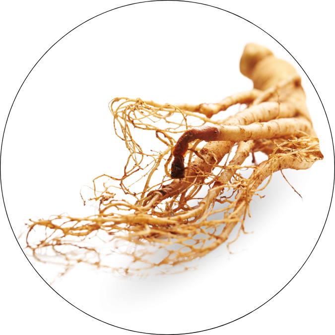 Hercules Allgäuer Wanderimkerei