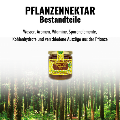 Mediterraner Waldhonig 500g von der Allgäuer Wanderimkerei