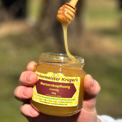Seltener Natternkopfhonig cremig 250g von der Allgäuer Wanderimkerei