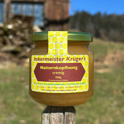 Seltener Natternkopfhonig cremig 250g von der Allgäuer Wanderimkerei