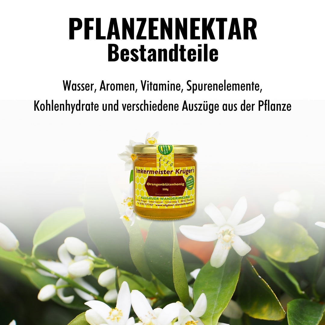 Naturbelassener Orangenblütenhonig (500g) direkt vom Imker, aus Spanien von der Allgäuer Wanderimkerei