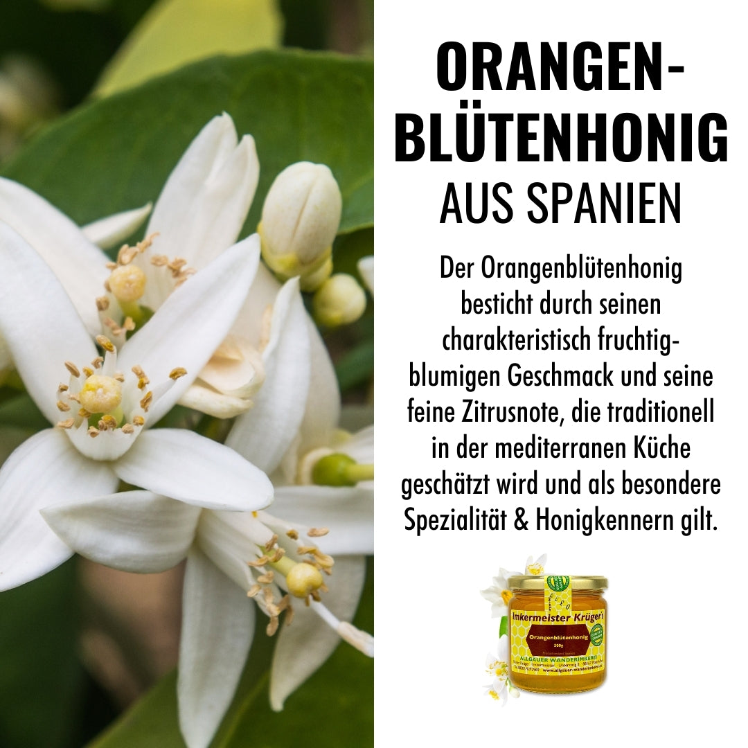 Naturbelassener Orangenblütenhonig (500g) direkt vom Imker, aus Spanien von der Allgäuer Wanderimkerei