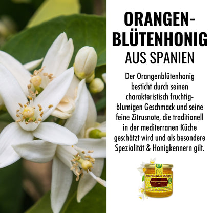 Naturbelassener Orangenblütenhonig (500g) direkt vom Imker, aus Spanien von der Allgäuer Wanderimkerei