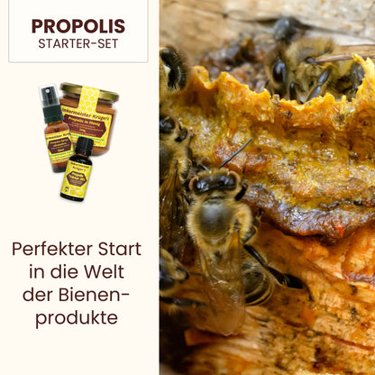 Propolis Starter-Set: 30% Propolis Tinktur 20ml, Propolis Spray alkoholfrei 20ml und Propolis in Honig 250g in einem Einsteiger-Set, direkt vom Imker, von der Allgäuer Wanderimkerei