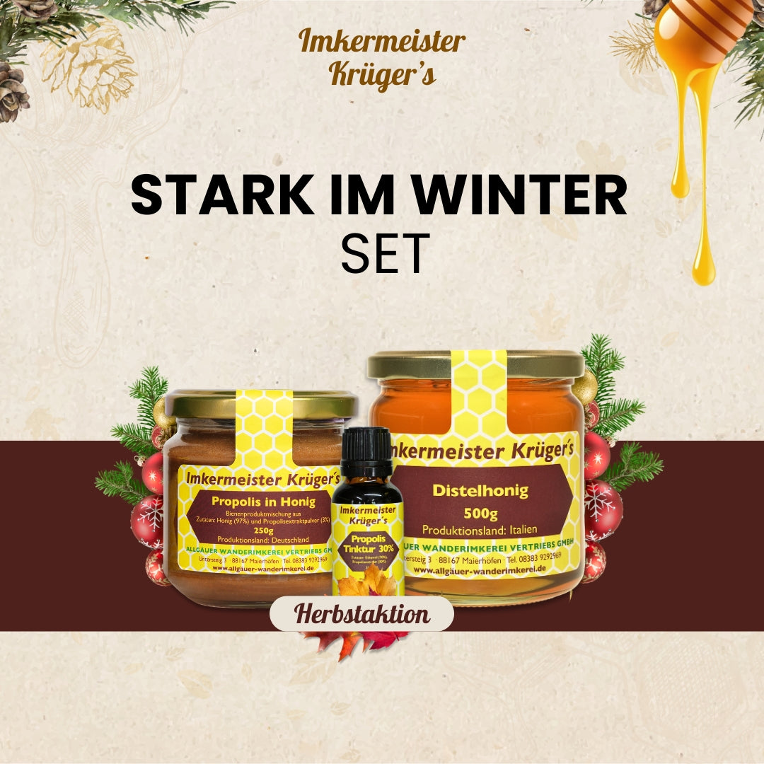 Stark im Winter Set