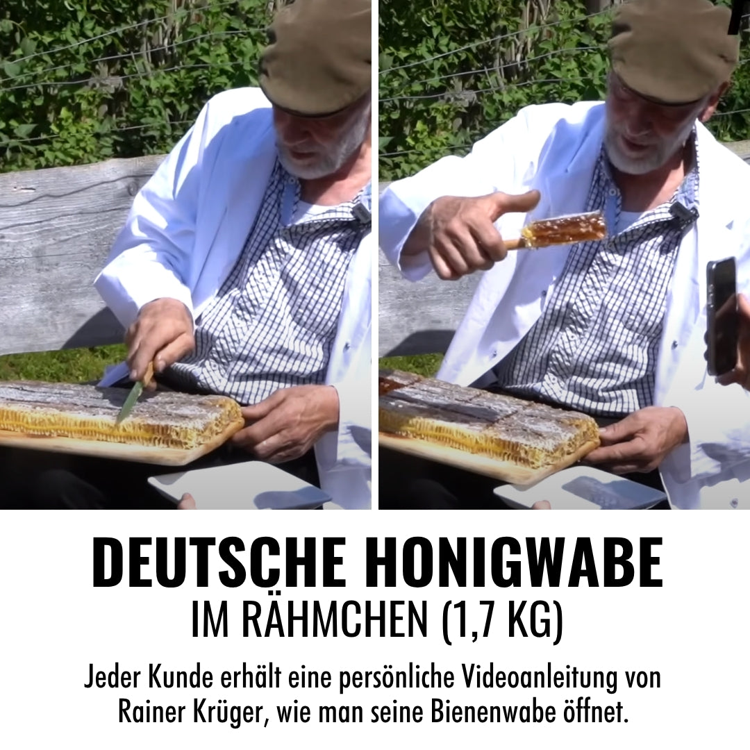 Deutschen Honigwabe 2kg im Rähmchen, von der Allgäuer Wanderimkerei, limitierte Auflage, 2026 frische Ernte, Honigwabe öffnen