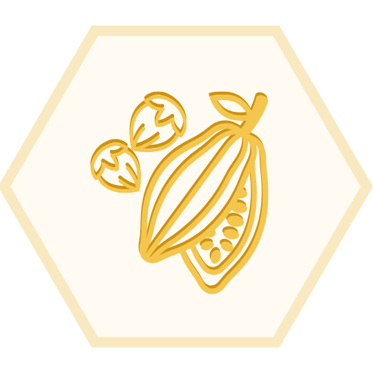 Icon Kakao und Haselnüsse für Allgäuer Wanderimkerei_02