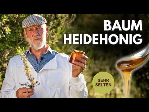 Baum-Heidehonig vom Imkermeister Krüger von der Allgäuer Wanderimkerei, Thumbnail zum Video