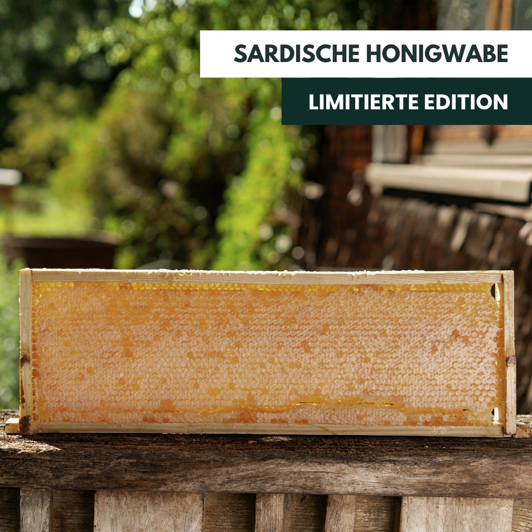 Leckere Sardische Honigwabe 2 kg, Limitierte Edition 2026 Ernte von der Allgäuer Wanderimkerei