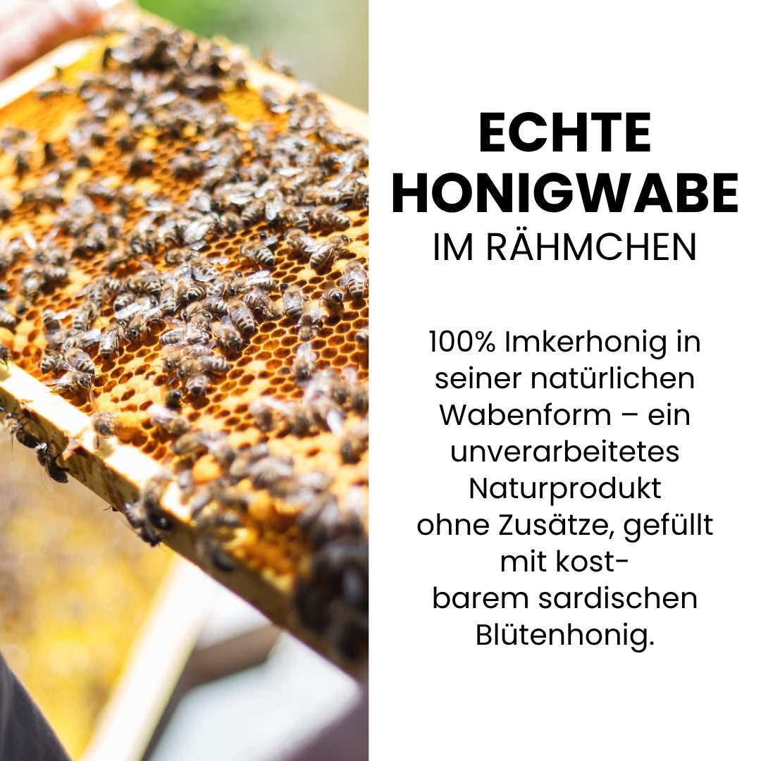 Sardische Honigwabe im Rähmchen 2 kg, Limitierte Edition 2026 Ernte von der Allgäuer Wanderimkerei, Nahaufnahme