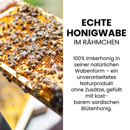 Sardische Honigwabe im Rähmchen 2 kg, Limitierte Edition 2026 Ernte von der Allgäuer Wanderimkerei, Nahaufnahme
