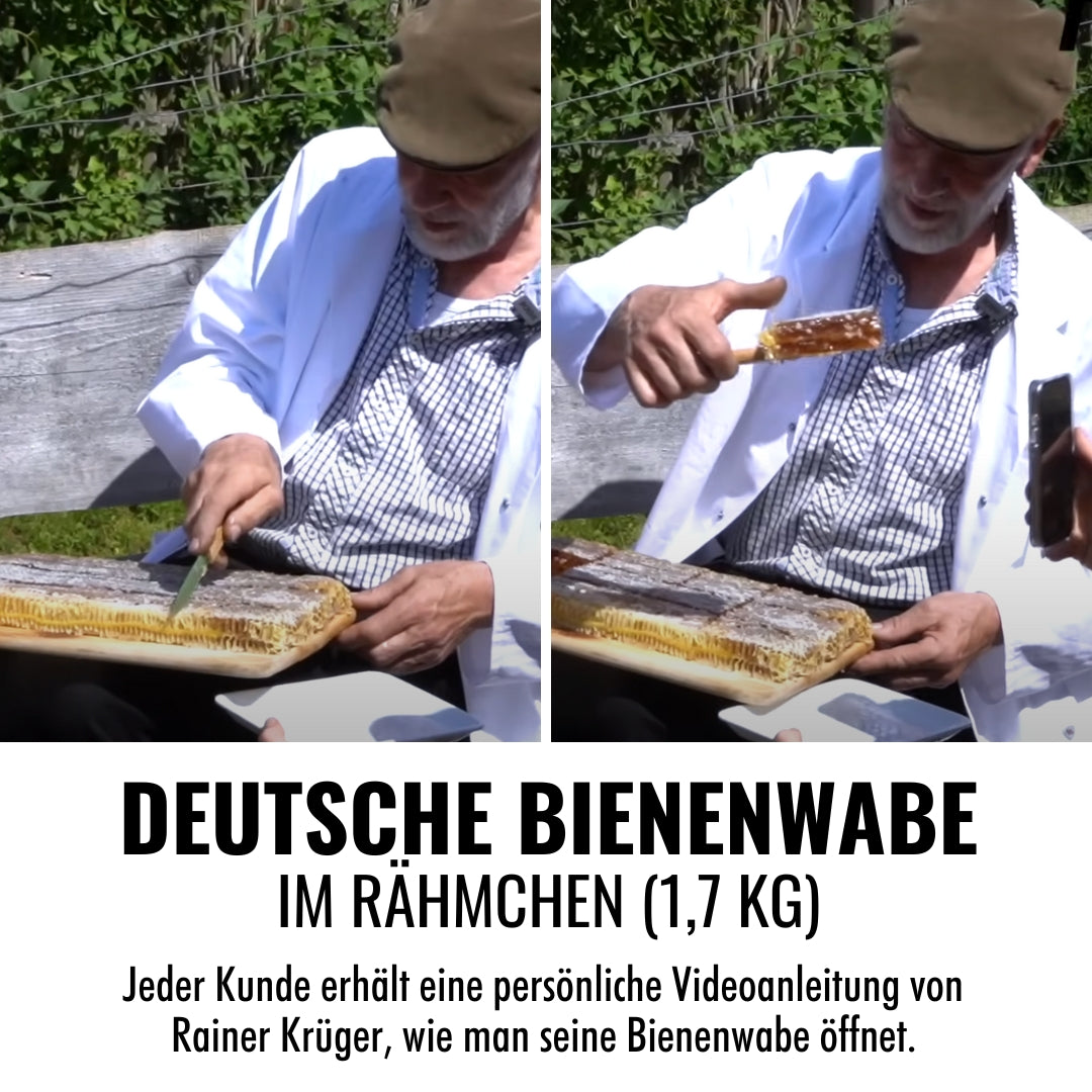 Deutschen Bienenwabe im Rähmchen, 1,7 kg, von der Allgäuer Wanderimkerei, limitierte Auflage